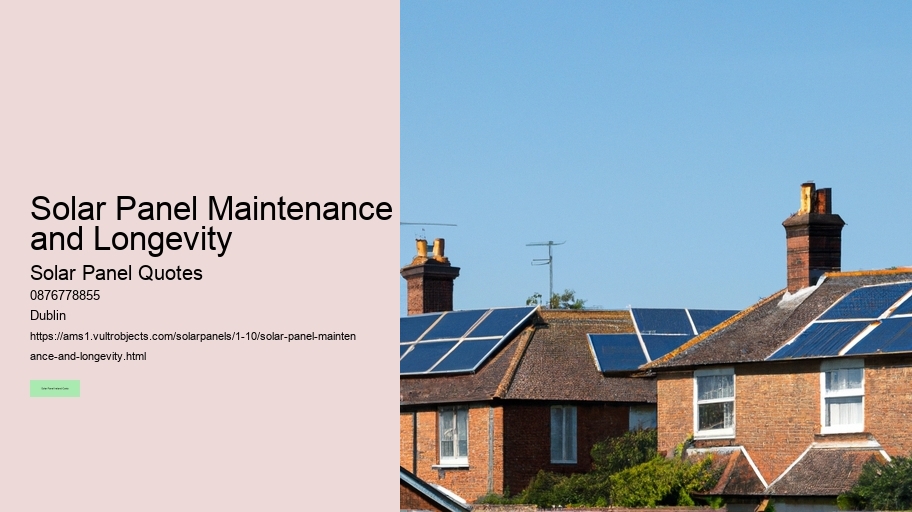 Solar Panel Maintenance and Longevity