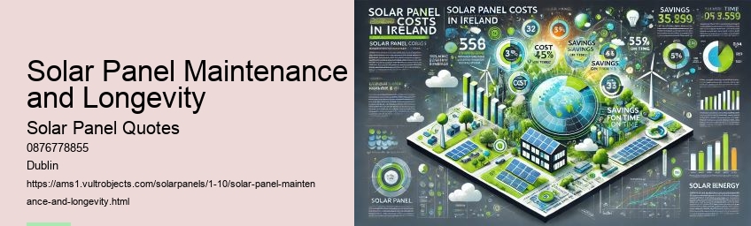 Factors Influencing Solar Panel Prices in Ireland