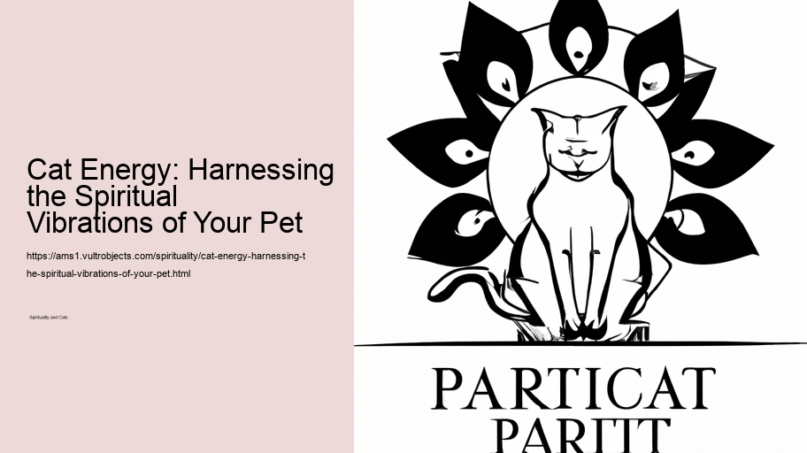 Cat Energy: Harnessing the Spiritual Vibrations of Your Pet