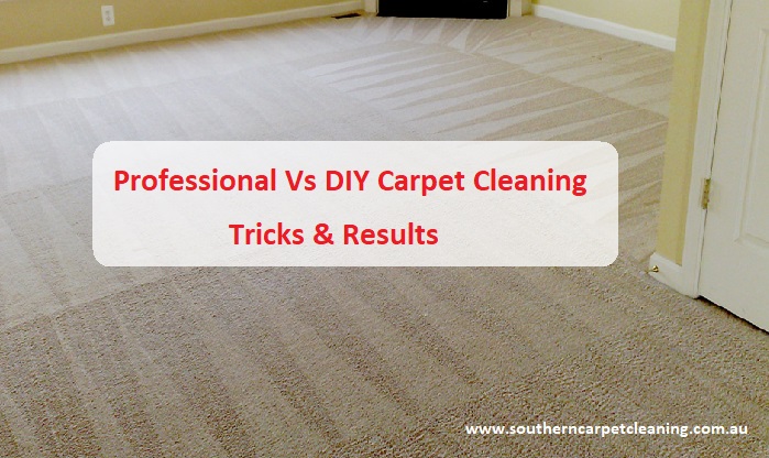 Professional vs. DIY: Choosing the Right Carpet Cleaning Method