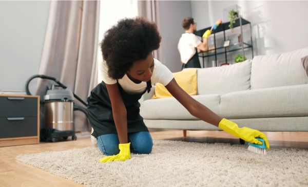 Step-by-Step Carpet Cleaning Techniques for a Fresh Home