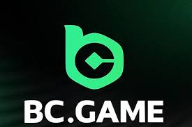 Complete Guide to BC.Game Registration Process