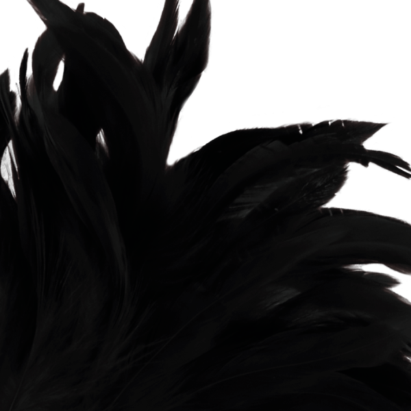 DARKNESS BLACK FEATHER LUX - Image 3