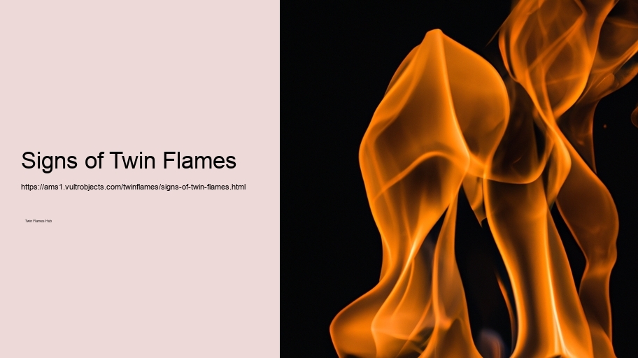 Signs of Twin Flames