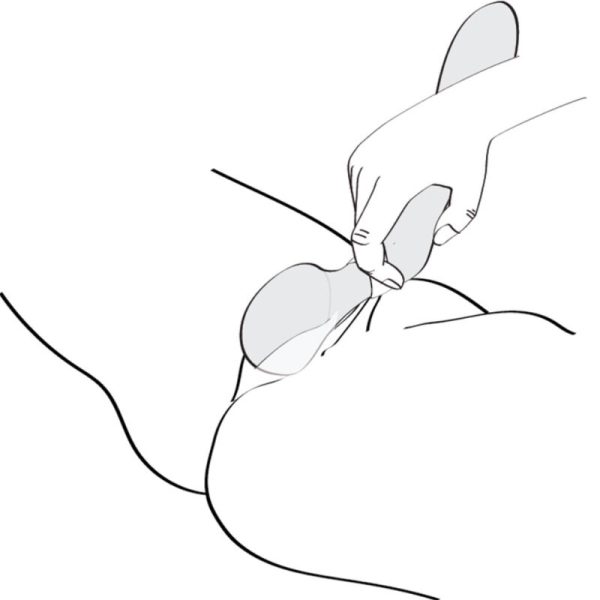 SHUNGA - MASSAJADOR ÍNTIMO ZOA - Imagen 7