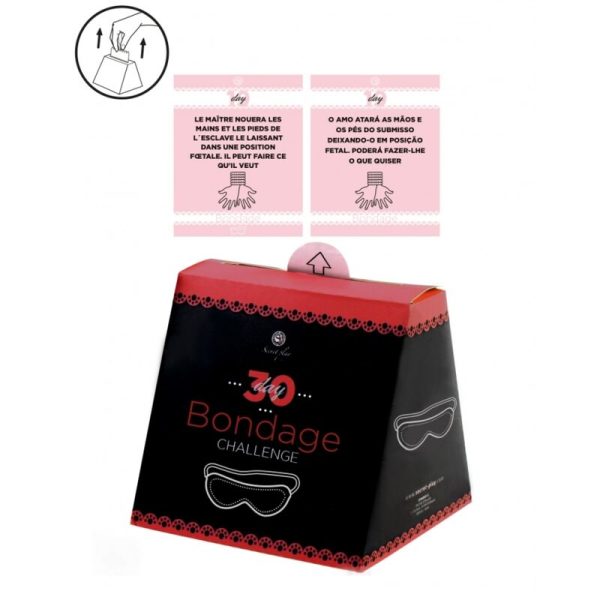 SECRETPLAY - DESAFIO 30 DIAS DE BONDAGE (FR/PT) - Imagen 2