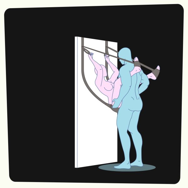 BALOIÇO DE PORTA DELUXE SEX DOOR SWING CRUSHIOUS - Imagen 12