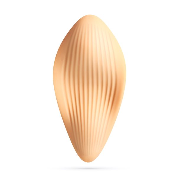 ATLANTIS VIBRADOR DE CUECA COM COMANDO À DISTÂNCIA CRUSHIOUS - Imagen 2