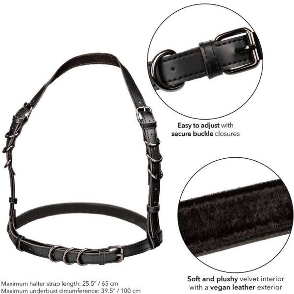 CALIFORNIA EXOTICS - EUPHORIA ARNÊS DE FIVELA HALTER PRETO - Imagen 5