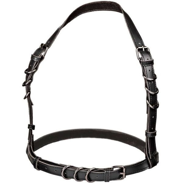 CALIFORNIA EXOTICS - EUPHORIA ARNÊS DE FIVELA HALTER PRETO - Imagen 4
