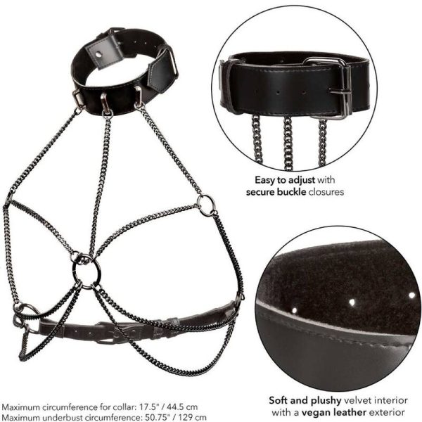 CALIFORNIA EXOTICS - EUPHORIA PLUS SIZE MULTI CHAIN COLLAR ARNÊS - Imagen 5