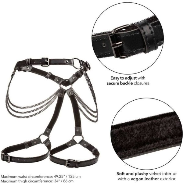 CALIFORNIA EXOTICS - EUPHORIA PLUS SIZE MULTI CHAIN ARNÊS DE COXA - Imagen 6