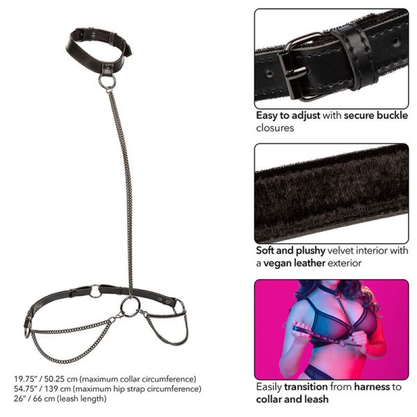 CALEXOTICS - EUPHORIA CHAIN HALTER COLEIRA E TRELA TAMANHO GRANDE - Imagen 5