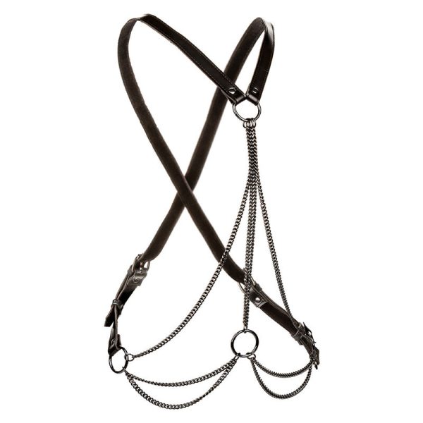 CALEXOTICS - EUPHORIA MULTICANTES HARNESS PREMIUM TAMANHO PLUS - Imagen 2