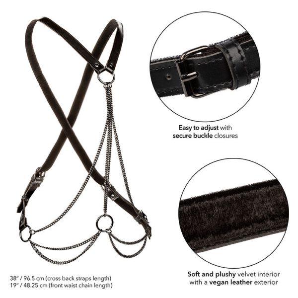 CALEXOTICS - EUPHORIA MULTICANTES HARNESS PREMIUM TAMANHO PLUS - Imagen 3