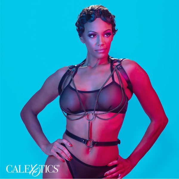 CALEXOTICS - EUPHORIA ARREIO DE CABIDE MULTICANTES PREMIUM - Imagen 4