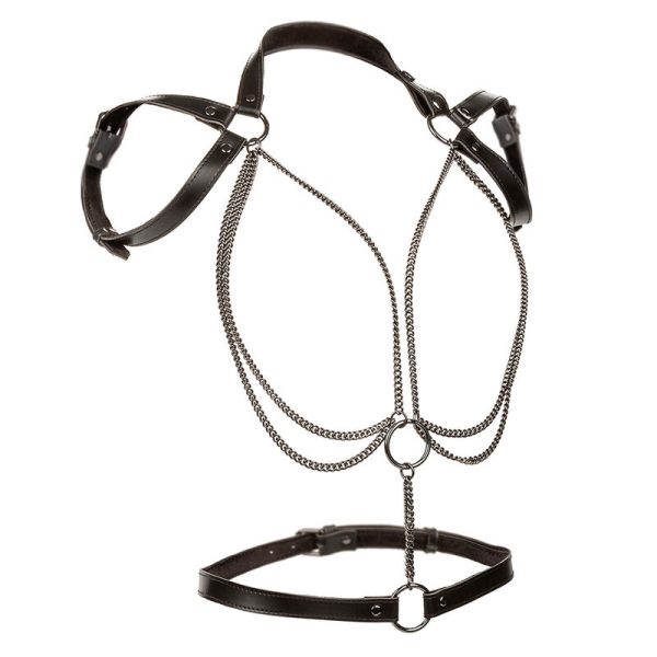 CALEXOTICS - EUPHORIA ARREIO DE CABIDE MULTICANTES PREMIUM - Imagen 2