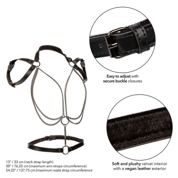 CALEXOTICS - EUPHORIA MULTICAIN HALTER HARNESS PREMIUM TAMANHO PLUS - Imagen 3