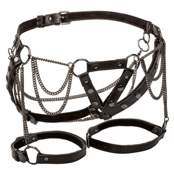 CALEXOTICS - EUPHORIA MULTICAIN THIGH HARNESS PREMIUM - Imagen 2