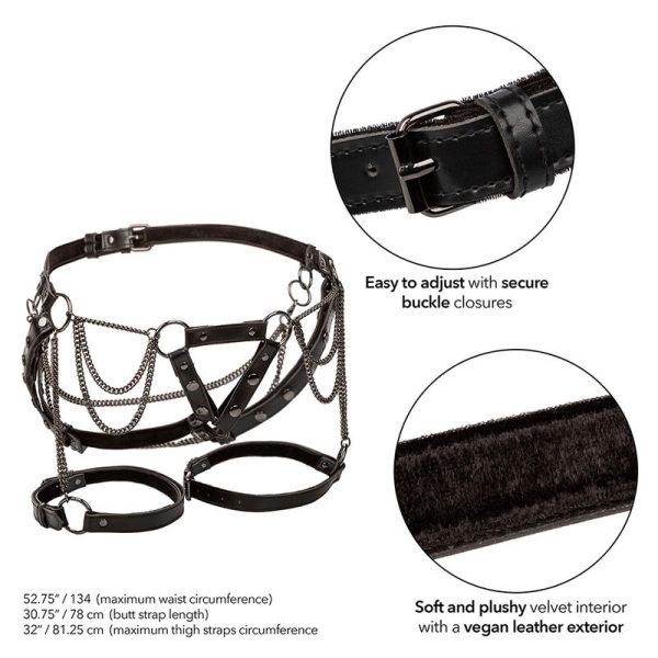 CALEXOTICS - EUPHORIA MULTICAIN THIGH HARNESS PREMIUM TAMANHO PLUS - Imagen 3