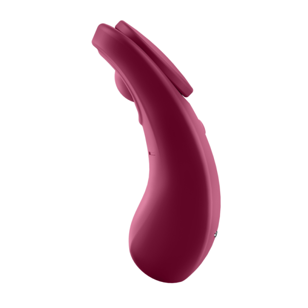 SATISFYER SEXY SECRET PANTY - Image 6