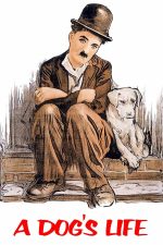 A Dog's Life Vintage Movie Poster/Playbill, Early Film/Theater, Social Commentary, Canine Theme Wall Art Print Movie Poster
