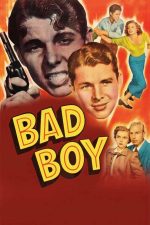 Bad Boy 1949 Movie Poster Wall Art