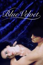Blue Velvet 1986 Movie Poster Wall Art