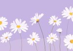 Floral Botanical Flower Print Wall Art Poster