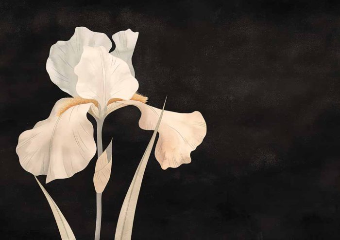 Floral Botanical Flower Print Wall Art Poster - Image 1