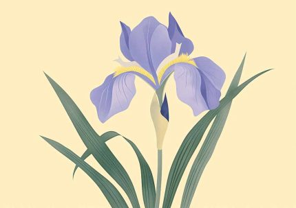 Floral Botanical Flower Print Wall Art Poster