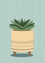 Potted Succulent Illustration - Minimalist Plant Art Print Floral Botanical Flower Print Wall Art Poster