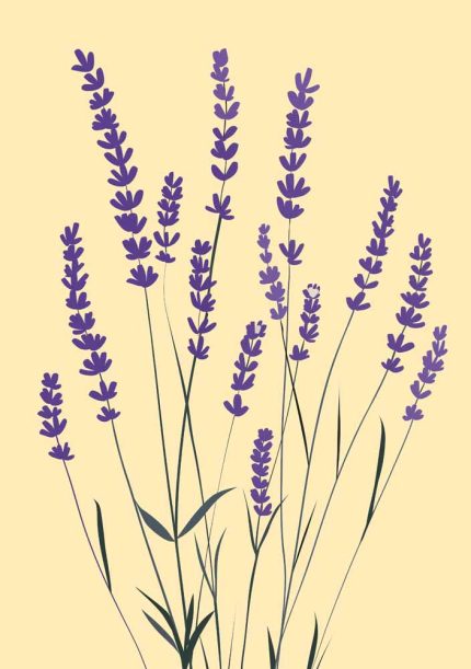 Floral Botanical Flower Print Wall Art Poster