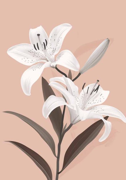 Floral Botanical Flower Print Wall Art Poster