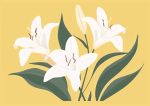 Floral Botanical Flower Print Wall Art Poster