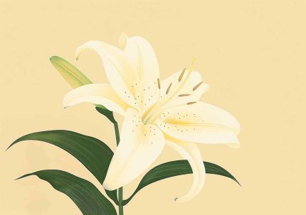 Floral Botanical Flower Print Wall Art Poster