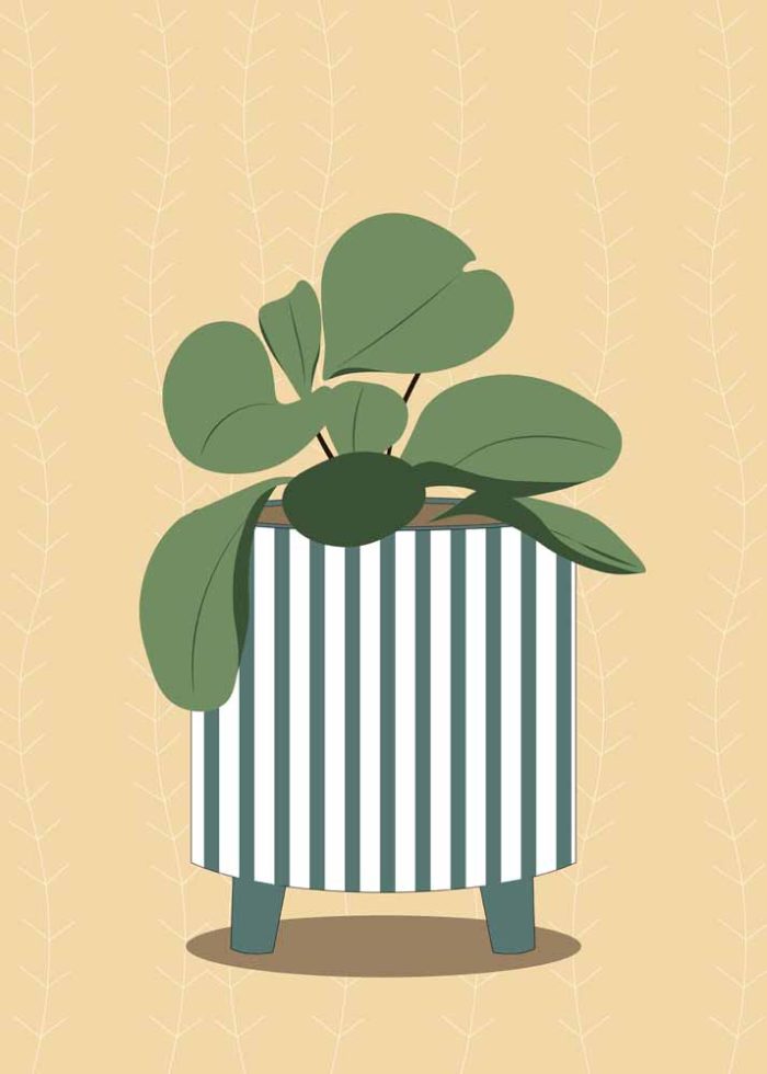Potted Succulent Illustration - Minimalist Plant Art Print Floral Botanical Flower Print Wall Art Poster - Image 1