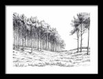 Framed Poster Forest Field AI Poster Wall Art Framed Poster