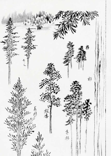 Hokusai Tree Studies: Ink Wash Drawings of Pines and Foliage Printed Poster