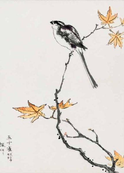 Long-tailed Tit on Maple Branch Japanese Traditional Wall Art