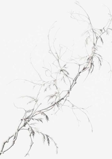 Minimalist Branch Art | Fine Line Botanical Drawing