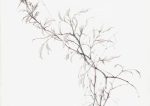 Minimalist Branch Art | Fine Line Botanical Drawing Neutral Theme Vintage Posters Wall Art Poster