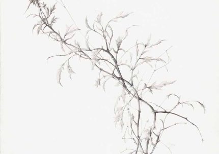 Minimalist Branch Art | Fine Line Botanical Drawing Neutral Theme Vintage Posters Wall Art Poster