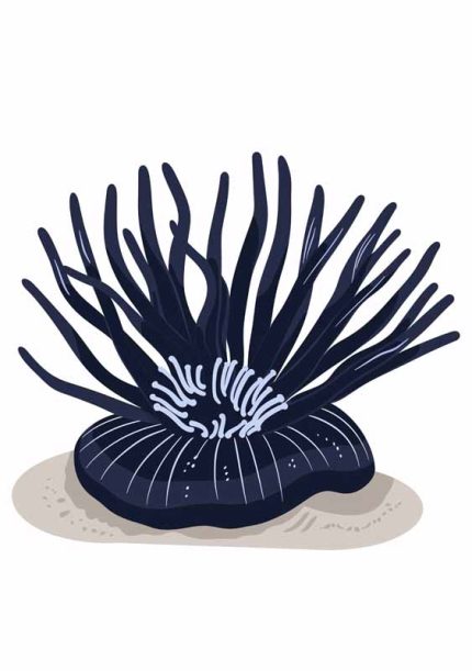 Simple Drawing   navy blue Wall Art Metal Aluminum Print