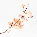 Square Wall Art Premium Print Wall Art Poster