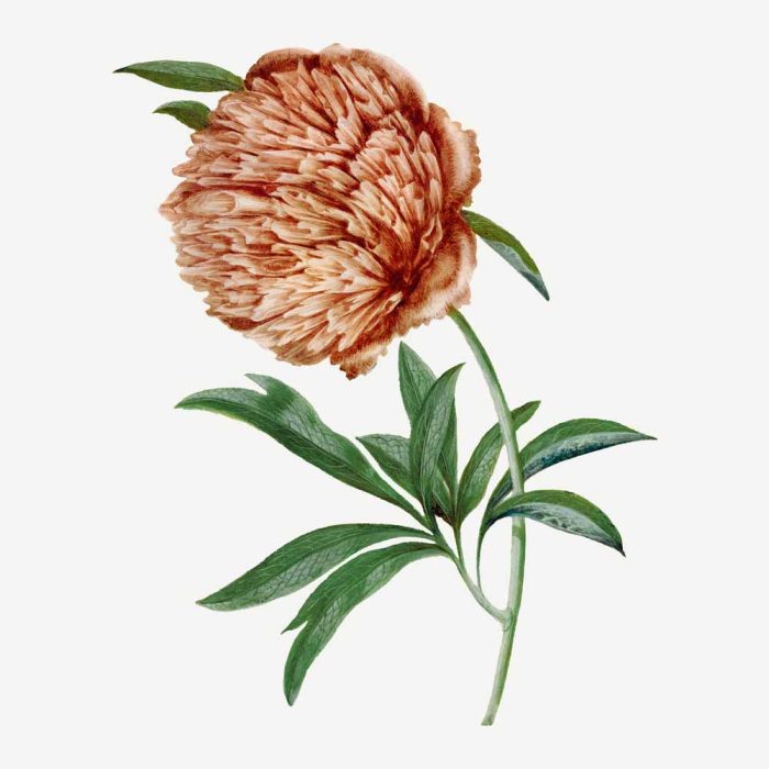 Square Wall Art Premium Print Wall Art Poster - Image 1