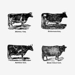 Square Wall Art Premium Print Wall Art Poster