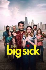 The Big Sick 2017 Movie Poster Wall Art