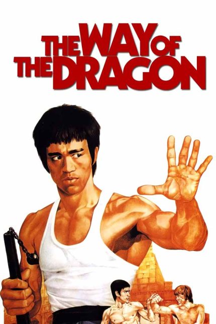 The Way of the Dragon 1972 Movie Poster Wall Art