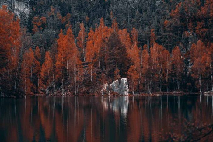 Autumn Reflections at Adršpach Lake Stock Image - Image 1